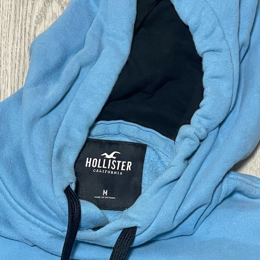 Hollister Hoodie with hologram logo Sz Medium - Picture 6 of 10